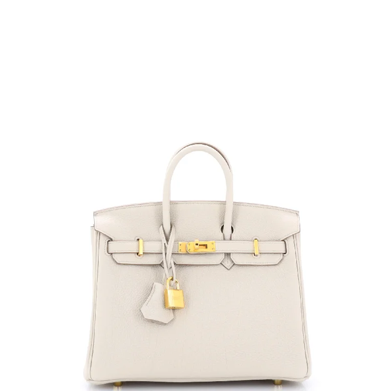 Birkin Handbag Light Togo with Gold Hardware 25